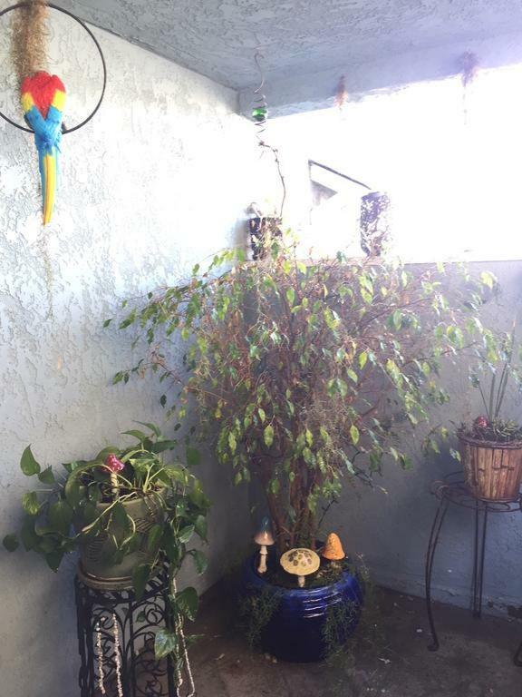 Pacific Beach Butterfly Suite San Diego Kültér fotó